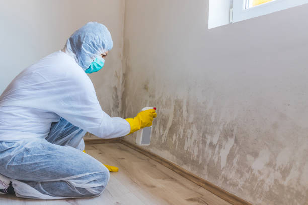 Mold Remediation specialist working in Saint Charles